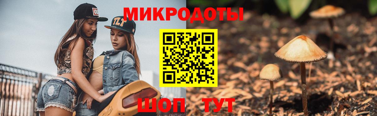 Псилоцибиновые грибы мицелий Барнаул