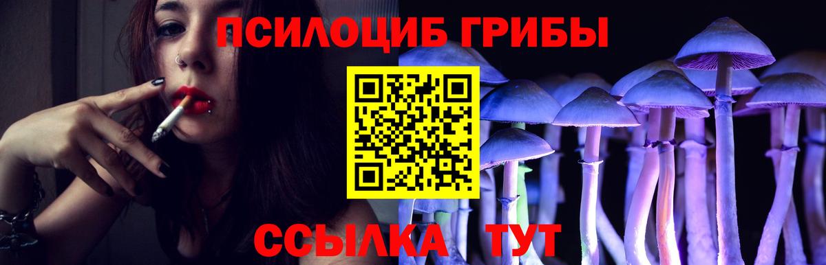 Галлюциногенные грибы Psilocybine cubensis  Вход с VPN  где купить наркоту  Барнаул 